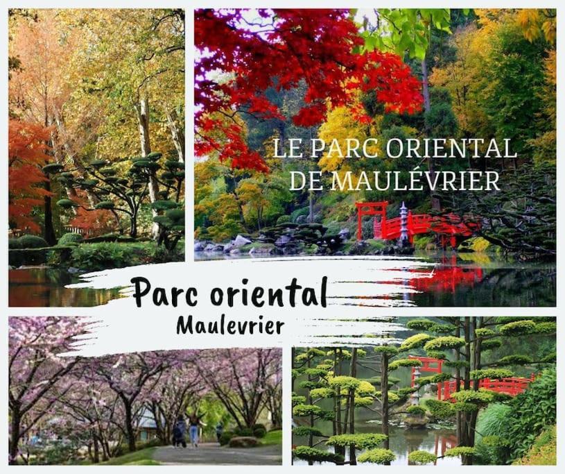 Le Duplex Horizon Travot Vue Splendide Et Central 绍莱 外观 照片