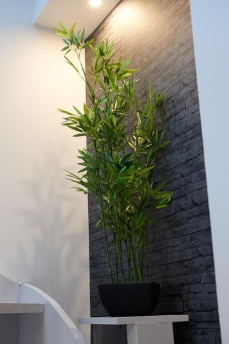 Le Duplex Horizon Travot Vue Splendide Et Central 绍莱 外观 照片